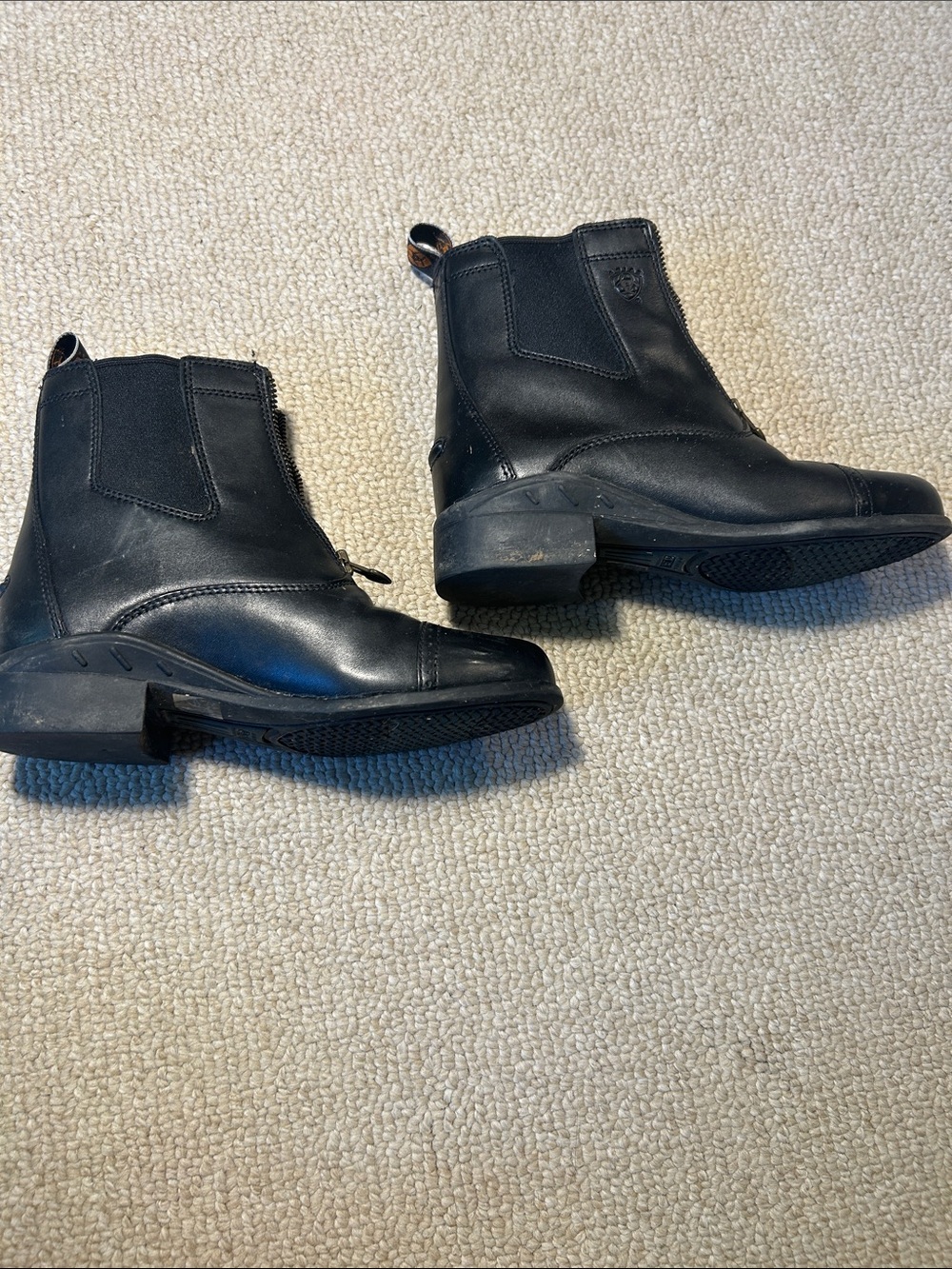 Ariat Paddock boots
